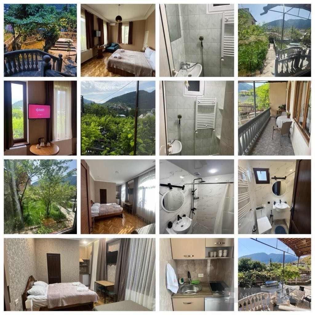 Shota'S Guest House Borjomi Εξωτερικό φωτογραφία
