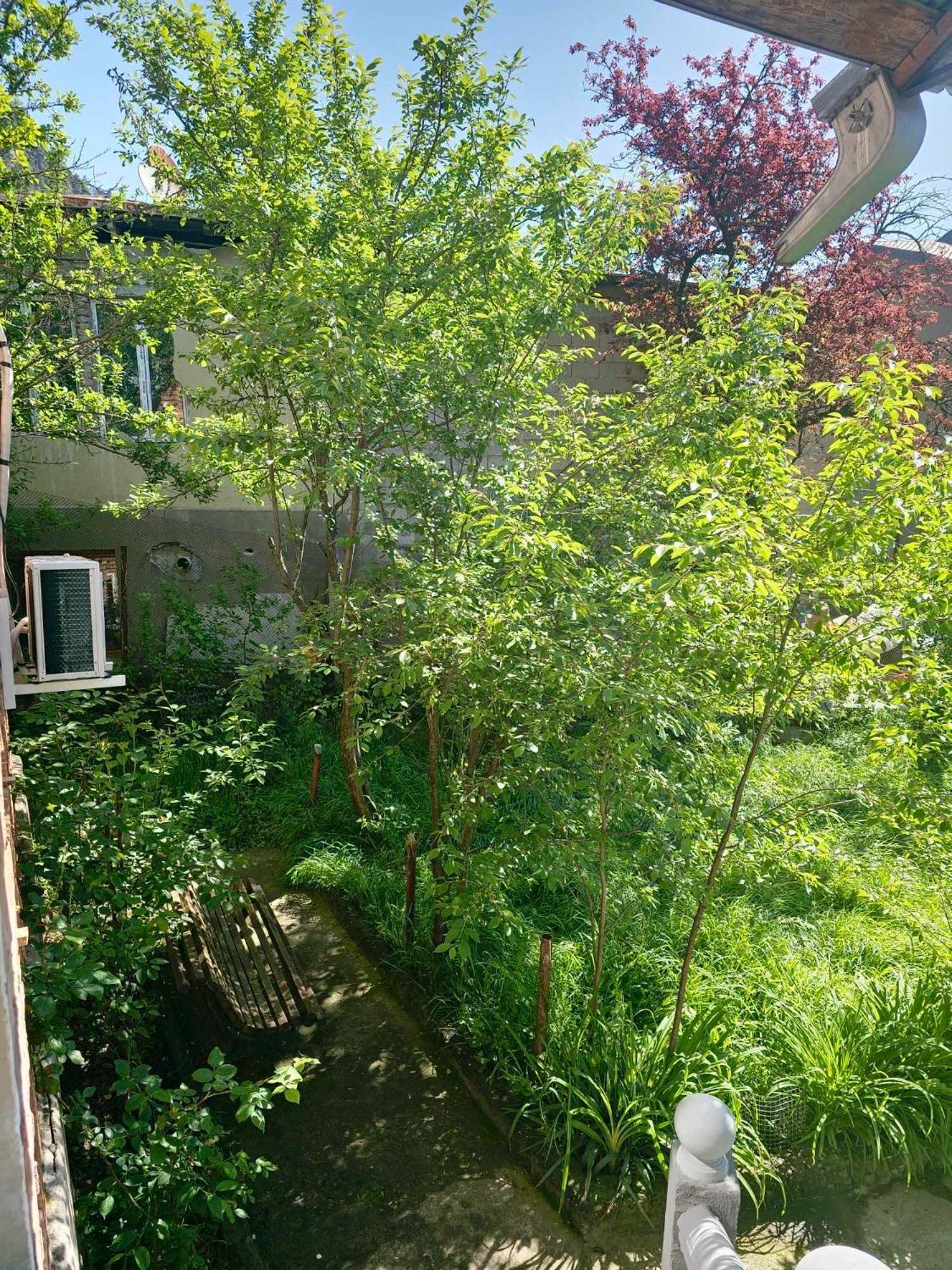 Shota'S Guest House Borjomi Εξωτερικό φωτογραφία