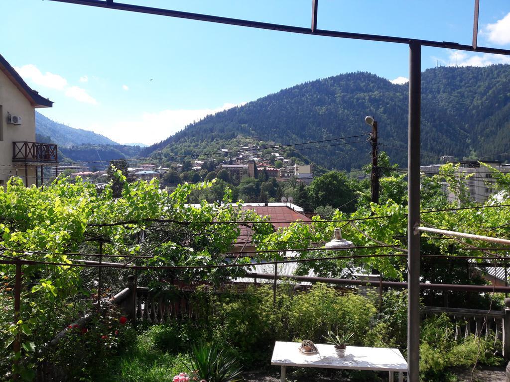Shota'S Guest House Borjomi Εξωτερικό φωτογραφία